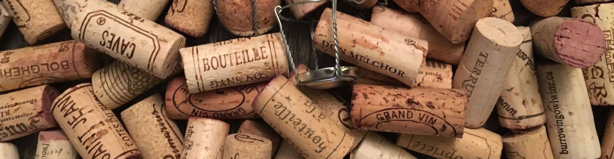 Wine Tasting with Sarah